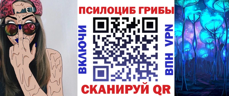 купить закладку  Сатка  Псилоцибиновые грибы GOLDEN TEACHER 
